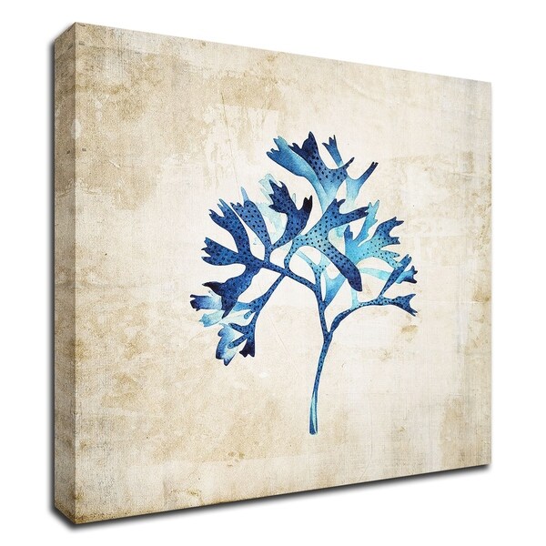 "Sea life I" by Incado, Print on Canvas, Ready to Hang