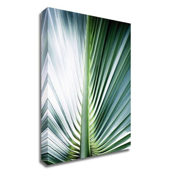 "Close up III" by Incado, Print on Canvas, Ready to Hang