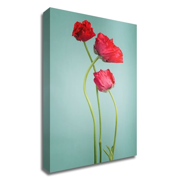 "Blue poppy" by PhotoINC Studio, Print on Canvas, Ready to Hang