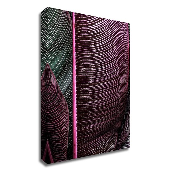 "Close up VIII" by Incado, Print on Canvas, Ready to Hang