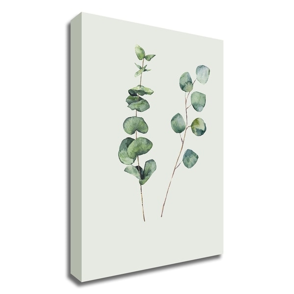 "Botanical I" by Incado, Print on Canvas, Ready to Hang