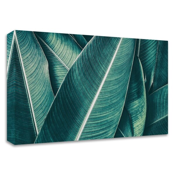 "Banana" by PhotoINC Studio, Print on Canvas, Ready to Hang