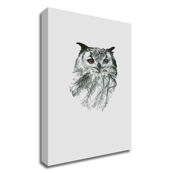 "Eye of the Forest II" by Clean Nature, Print on Canvas, Ready to Hang