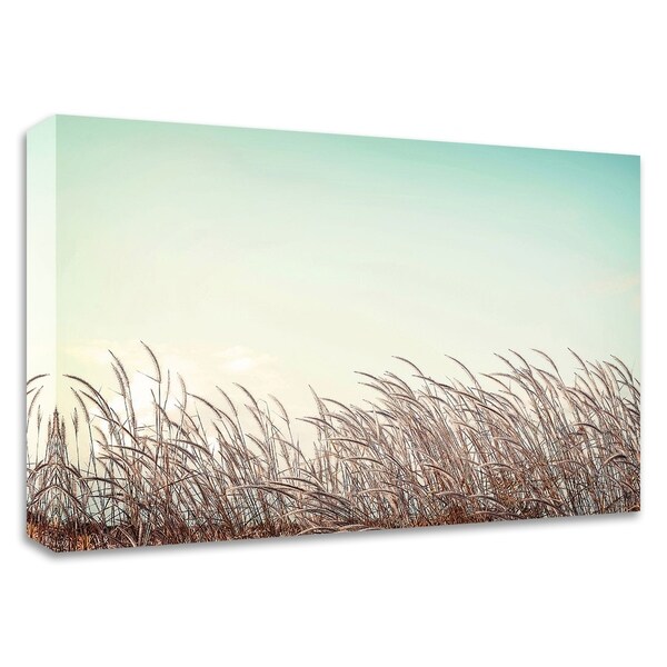 "Retro Grass" by PhotoINC Studio, Print on Canvas, Ready to Hang
