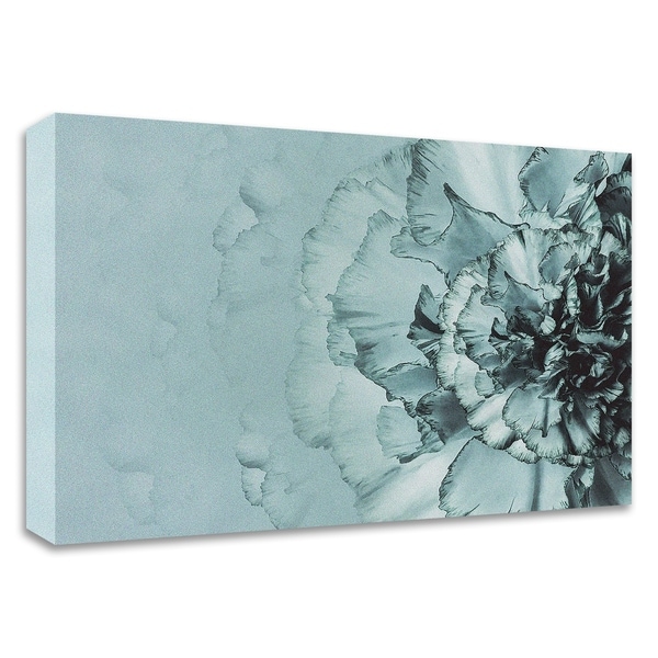 "Close up Flower" by Incado, Print on Canvas, Ready to Hang