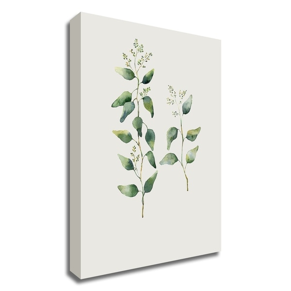 "Botanical II" by Incado, Print on Canvas, Ready to Hang