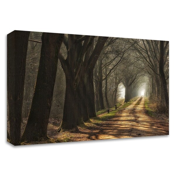 "Paths" by Lars Van de Goor, Print on Canvas, Ready to Hang