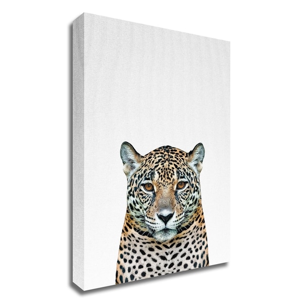 "Leopard II" by Tai Prints, Print on Canvas, Ready to Hang