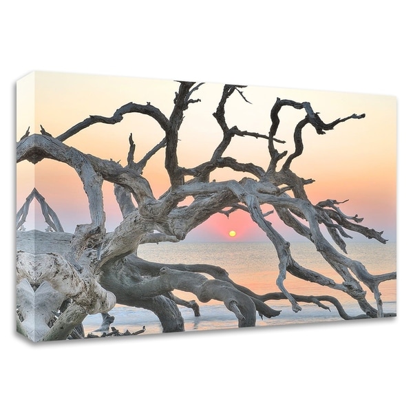 "Sunrise Sentinel" by Steve Vaughn, Print on Canvas, Ready to Hang