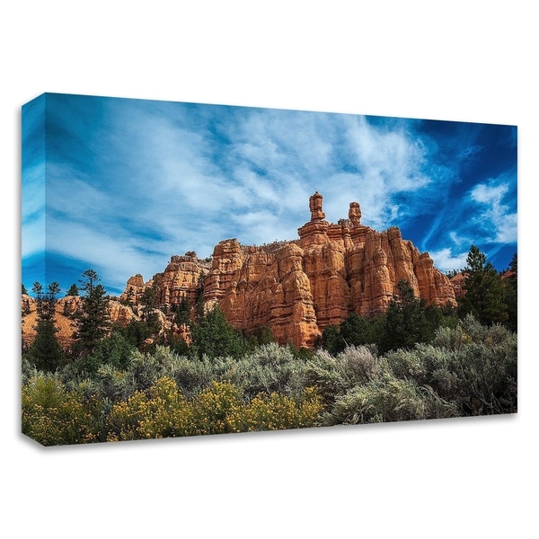 "Red Canyon" by Tim Oldford, Print on Canvas, Ready to Hang
