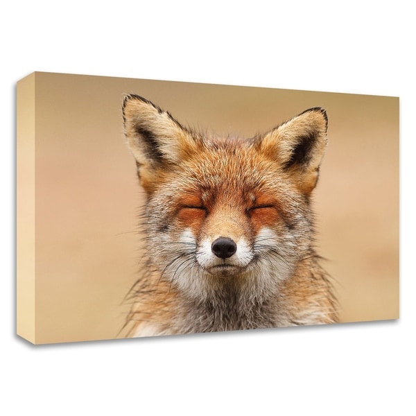 "ZenFoxRed Portrait" by Roeselien Raimond, Print on Canvas, Ready to Hang