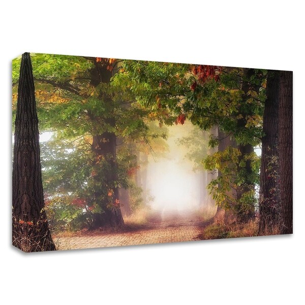 "Fall Colors" by Lars Van de Goor, Print on Canvas, Ready to Hang