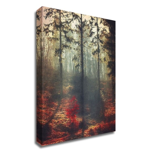 "Weight of Light" by Dirk Wustenhagen, Print on Canvas, Ready to Hang