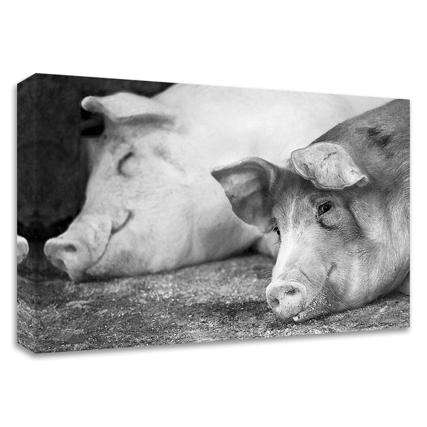 "Hog Heaven" by Matthew Platz, Print on Canvas, Ready to Hang