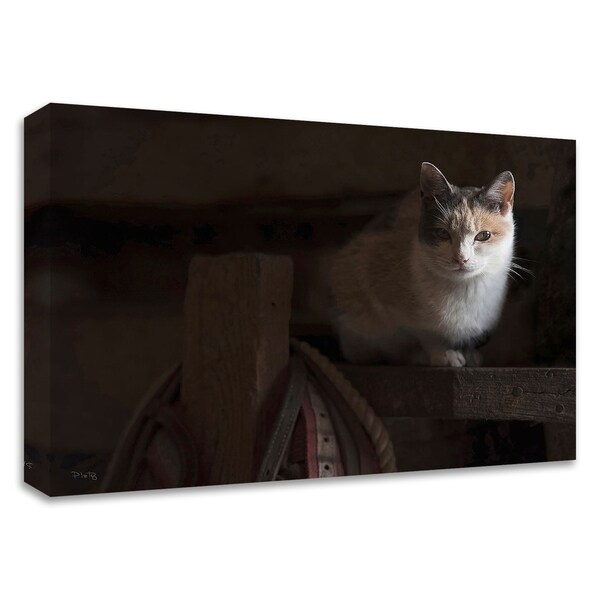 "Rat Patrol" by Matthew Platz, Print on Canvas, Ready to Hang