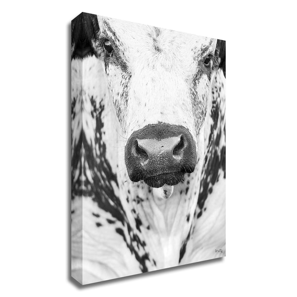 "Nosey" by Matthew Platz, Print on Canvas, Ready to Hang