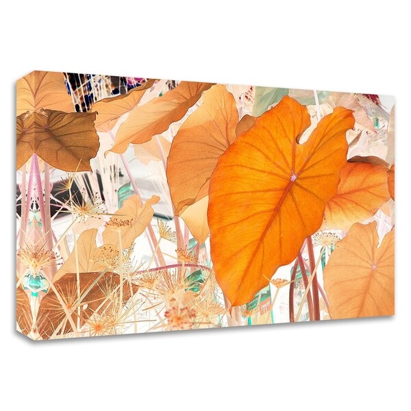 "Elephant Ears" by Judy Stalus, Print on Canvas, Ready to Hang