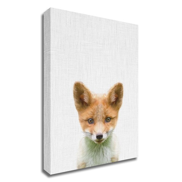 "BabyFox" by Tai Prints, Print on Canvas, Ready to Hang