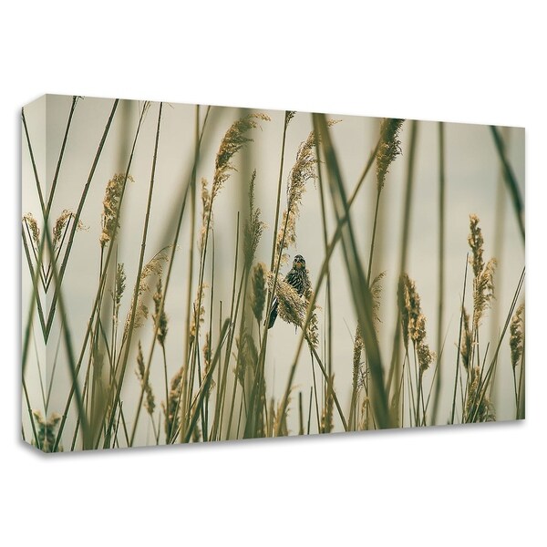 "Even The Skies Have Limits" by Eunika Rogers, Print on Canvas, Ready to Hang