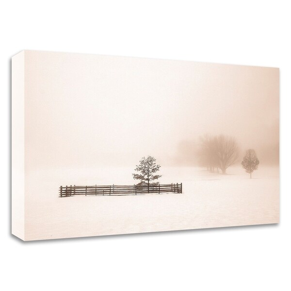 "Isolated" by Igor Svibilsky, Print on Canvas, Ready to Hang