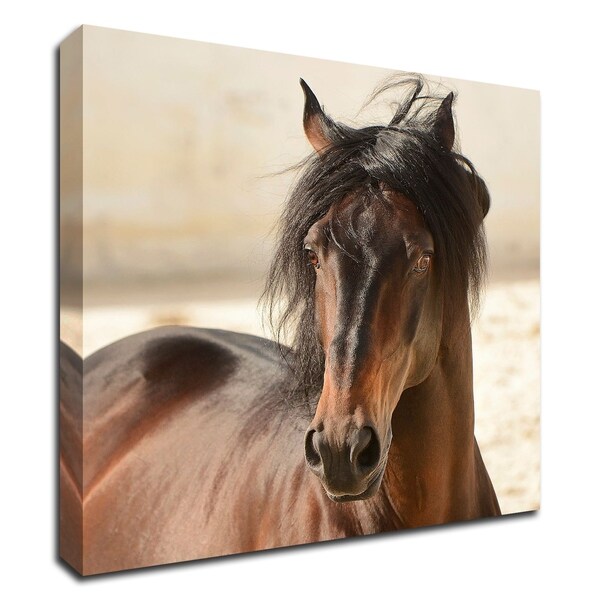 "Casanova" by Tony Stromberg, Print on Canvas, Ready to Hang