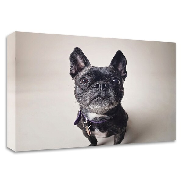 "Bailey" by Susan Sabo, Print on Canvas, Ready to Hang