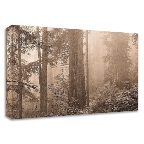 "Enchanted Forest II" by Igor Svibilsky, Print on Canvas, Ready to Hang