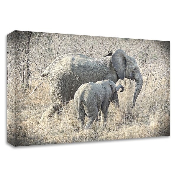 "Elephants" by Helene Sobol, Print on Canvas, Ready to Hang
