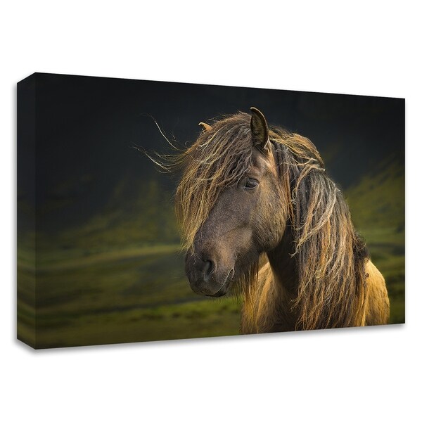 "Born To Be Wild" by Anne Schneidersmann, Print on Canvas, Ready to Hang