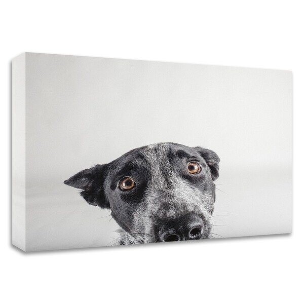 "Blue Zuck" by Susan Sabo, Print on Canvas, Ready to Hang