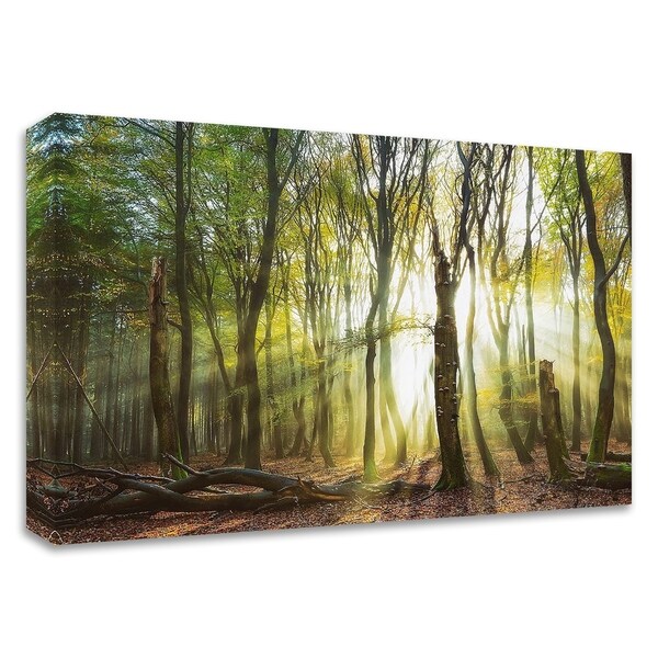 "Still Standing" by Lars Van de Goor, Print on Canvas, Ready to Hang