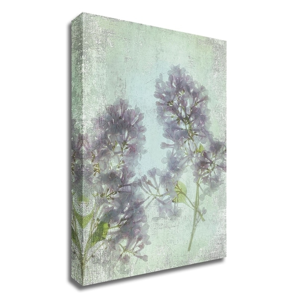 "Lilac" by Judy Stalus, Print on Canvas, Ready to Hang