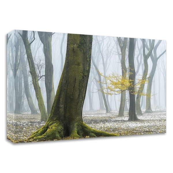 "Winter Colors" by Lars Van de Goor, Print on Canvas, Ready to Hang