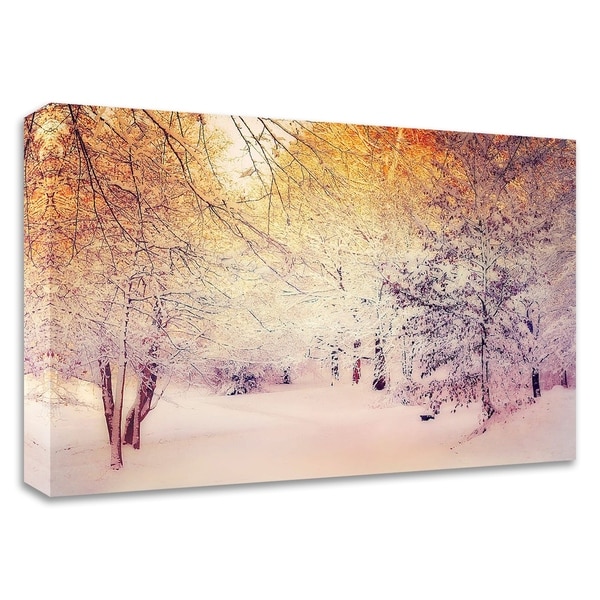 "Snowy Sunrise" by Dirk Wustenhagen, Print on Canvas, Ready to Hang