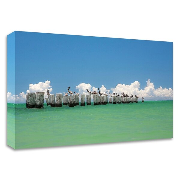 "Gull Conference" by Verne Varona, Print on Canvas, Ready to Hang