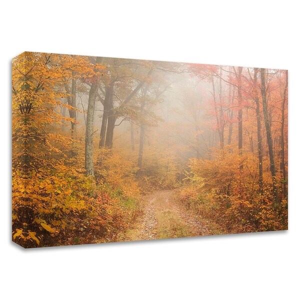 "Passing Through" by Patrick Zephyr, Print on Canvas, Ready to Hang