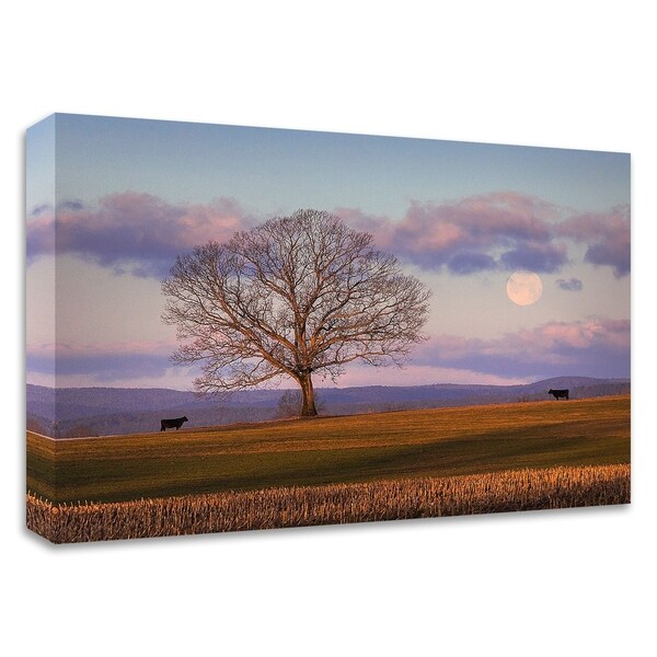 "Meeting at Dawn" by Patrick Zephyr, Print on Canvas, Ready to Hang