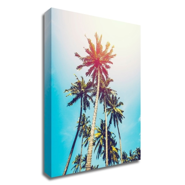 "Palms in the Sun" by Tai Prints, Print on Canvas, Ready to Hang