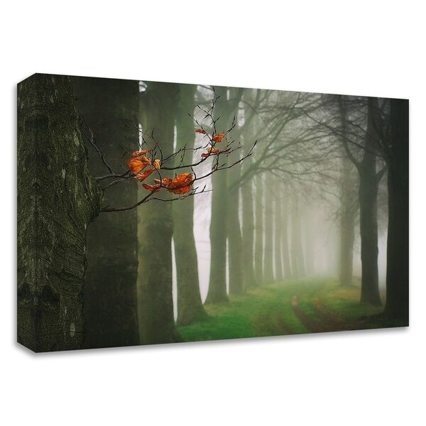 "Old & New" by Lars Van de Goor, Print on Canvas, Ready to Hang