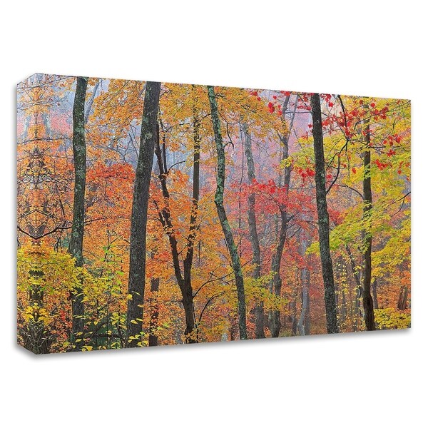 "Crayola" by Patrick Zephyr, Print on Canvas, Ready to Hang