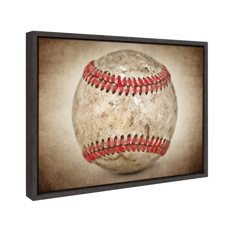 DesignOvation Sylvie Vintage Hardball Framed Canvas by Shawn St. Peter