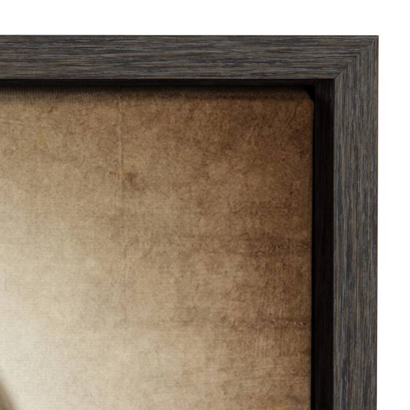 DesignOvation Sylvie Vintage Hardball Framed Canvas by Shawn St. Peter