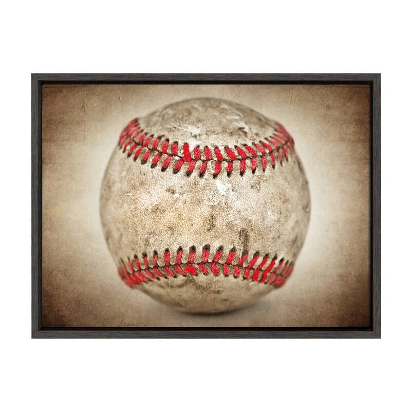 DesignOvation Sylvie Vintage Hardball Framed Canvas by Shawn St. Peter - 18x24 - Plastic - Grey