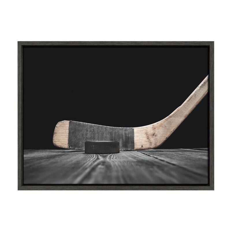 DesignOvation Sylvie Vintage Stick Framed Canvas by Shawn St. Peter - 18x24 - Plastic - Grey