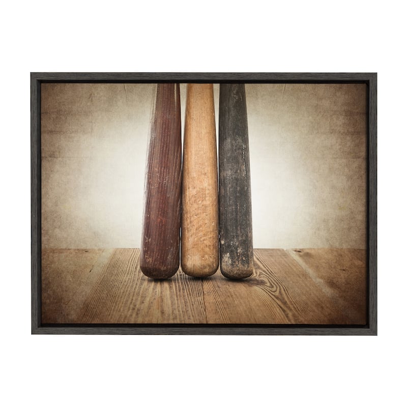 DesignOvation Sylvie Three Vintage Bats Canvas by Shawn St. Peter - 18x24 - Plastic - Grey
