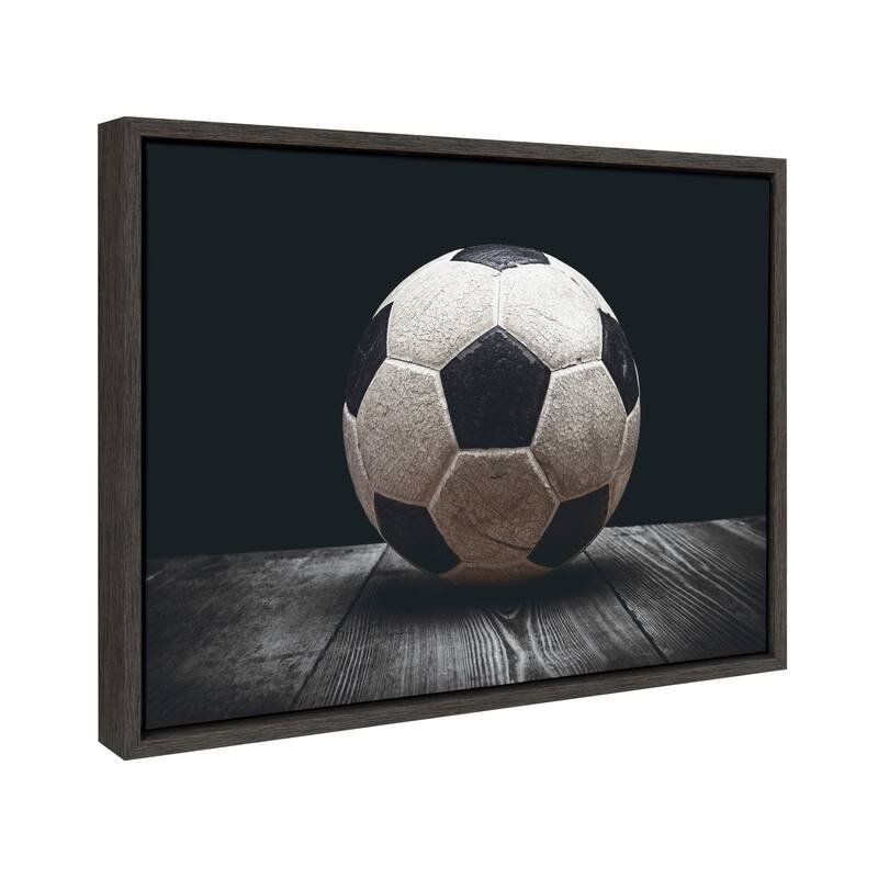 DesignOvation Sylvie Soccer Ball Framed Canvas by Shawn St. Peter