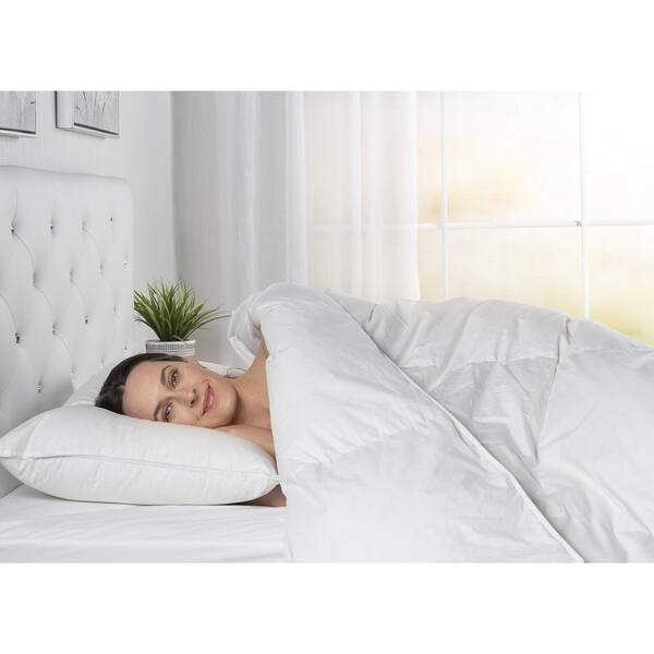 Shop Comfydown Luxurious White Comforter Goose Down 800 Fp W
