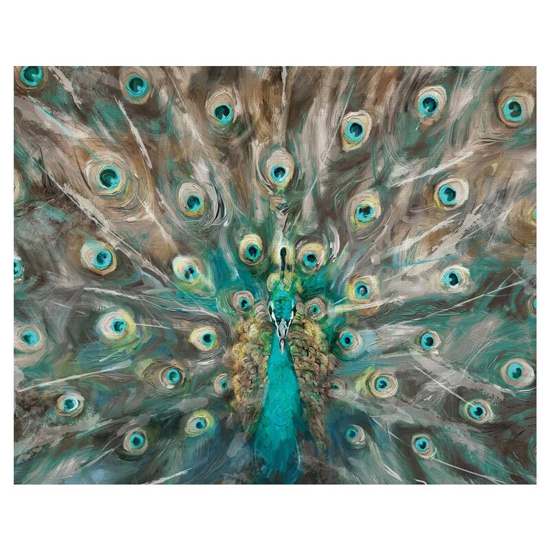 Peacock Colors by Studio Arts Wrapped Canvas Art Print