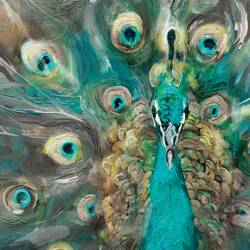 Peacock Colors by Studio Arts Wrapped Canvas Art Print