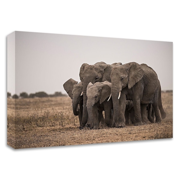 "Elephant Family" by Eddie Soloway, Print on Canvas, Ready to Hang